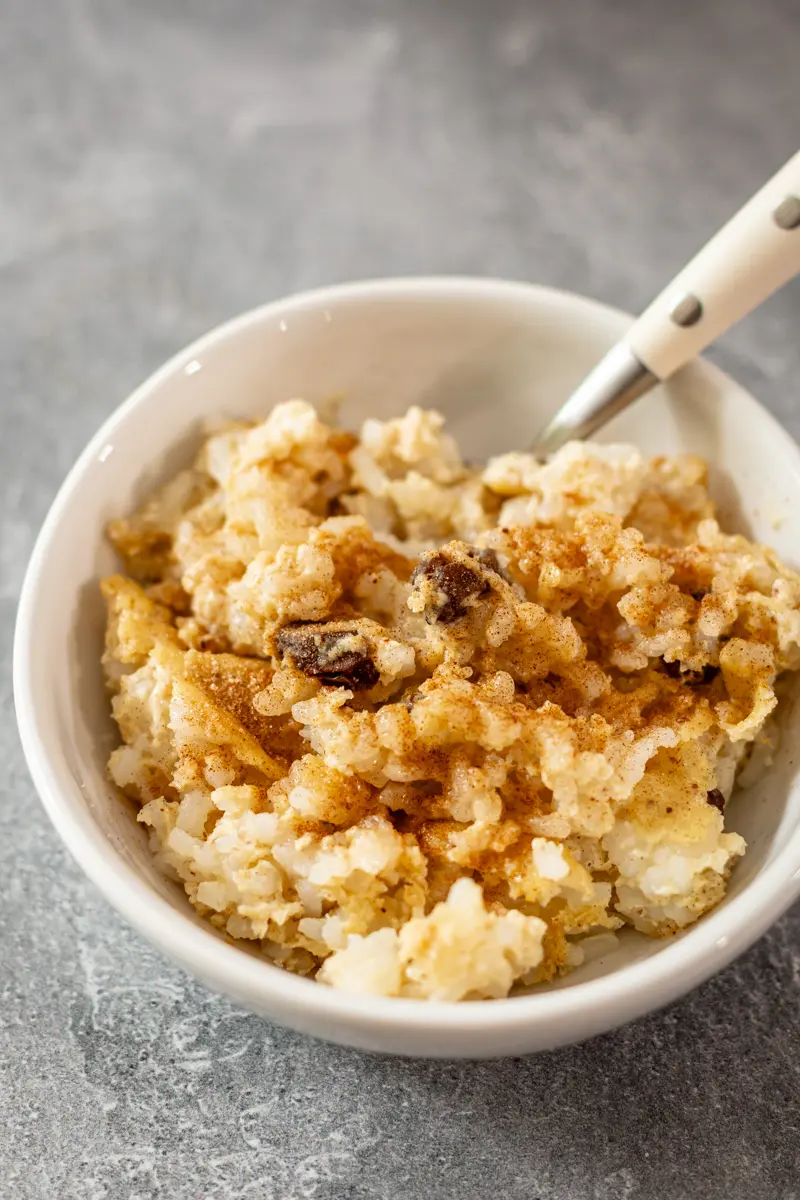 A bowl of rice pudding with cinnamon sugar sprinkled over it.