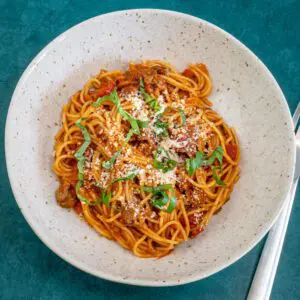 A bowl of spaghetti with sauce in a wide pasta bowl.