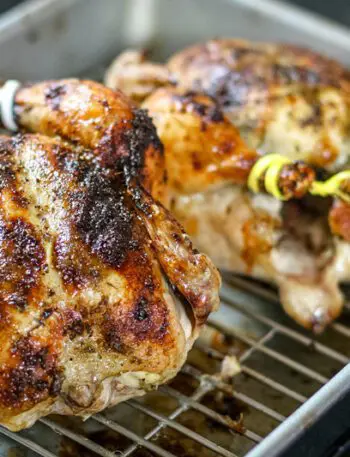 pesto coated Cornish game hens in a roasting pan