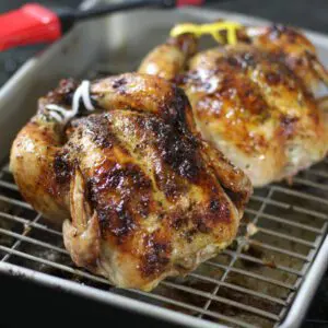 2 roasted game hens in a roasting pan