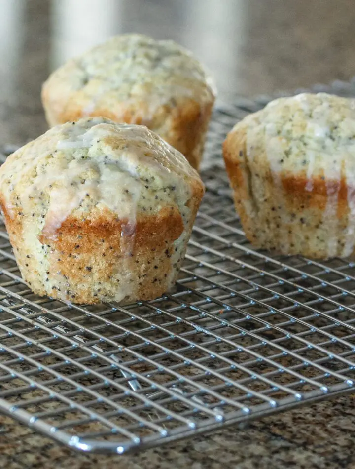 poppy seed muffins, glazed, on a cooling rack