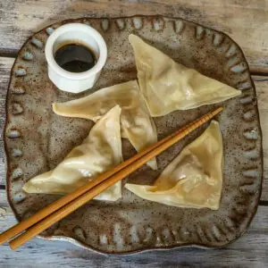 pork dumplings on a plate with dipping sauce