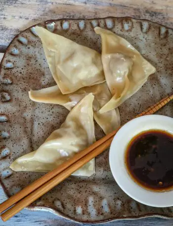 simple pork dumplings with dipping sauce