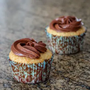 vanilla cupcakes frosted with creamy chocolate frosting