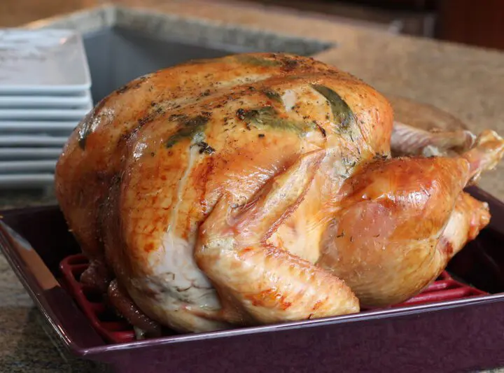 roast turkey with sage leaves in a roasting pan