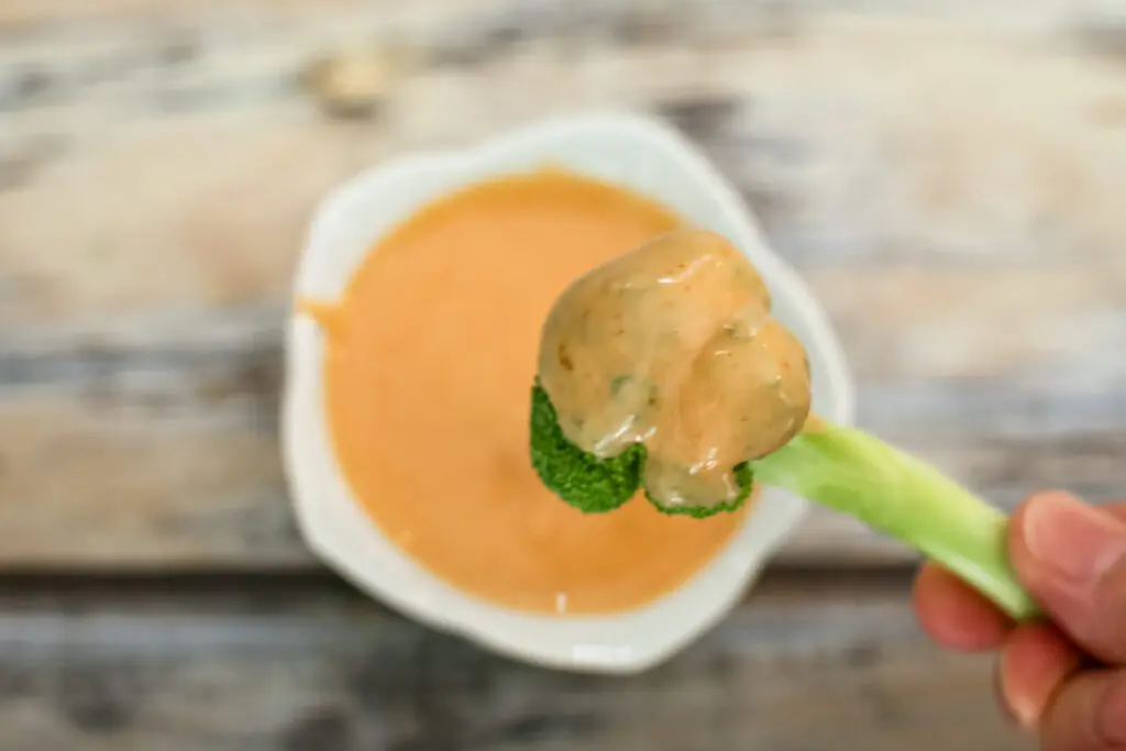 tomato mayo dip with a broccoli floret