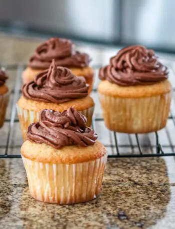 moist vanilla cupcakes on a rack with chocolate frosting