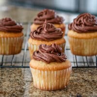 Moist vanilla cupcakes with chocolate frosting on a cooling rack.