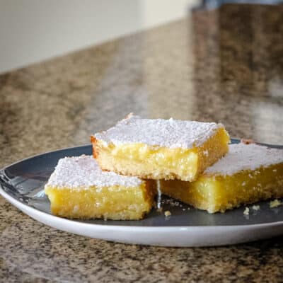 A plate of lemon bars topped with confectioners sugar.
