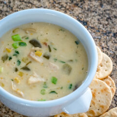 Creamy chicken soup with vegetables and green onions.