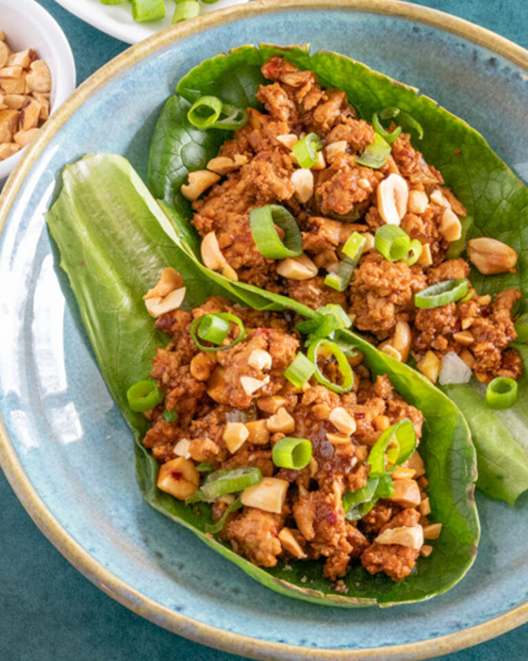turkey lettuce wraps with green onions and peanuts