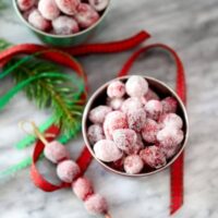 A small bowl and skewer of sugared cranberries with festive decorations around them.