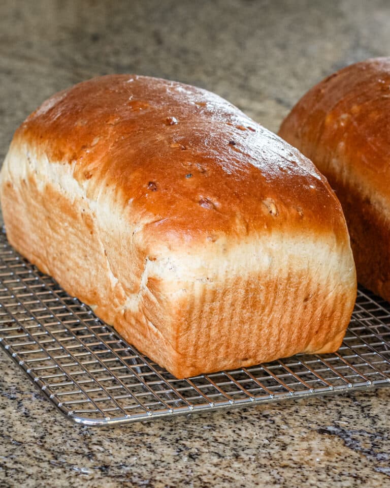 2 loaves of cracked wheat bread.