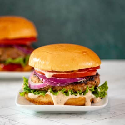 Turkey burger on a small plate with lettuce, tomato, and red onion rings.