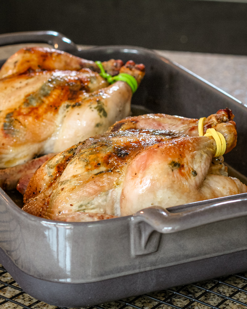 Garlic and cilantro butter cornish game hens in a roasting pan