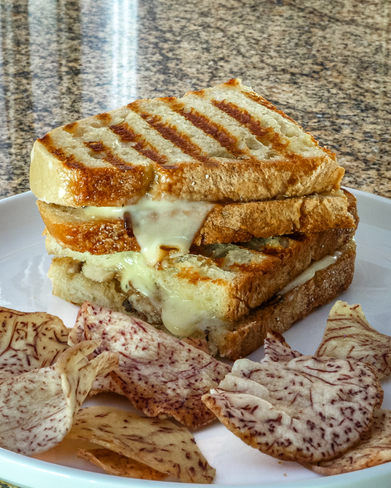 A grilled mushroom and fontina cheese sandwich on a plate with chips.