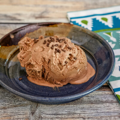 A scoop of mocha ice cream garnished with chocolate jimmies.