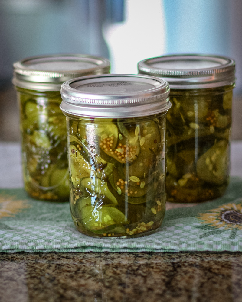 homemade bread and butter pickles