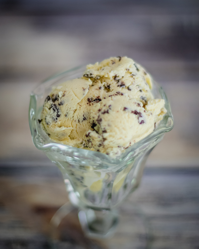 chocolate chip ice cream in a dessert dish