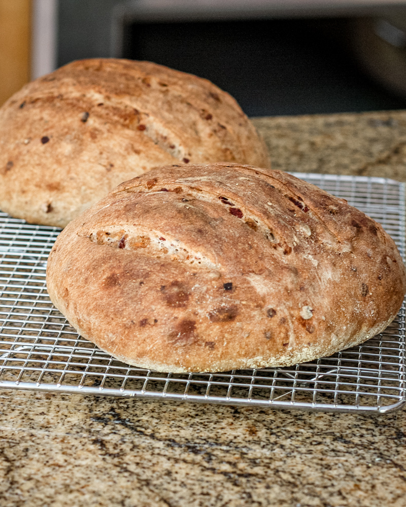 Two round loaves of cranberry walnut yeast bread on a cooling rack.
