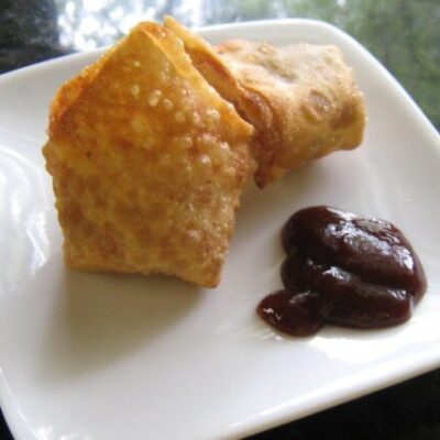 chicken wonton appetizers on a plate with barbecue sauce