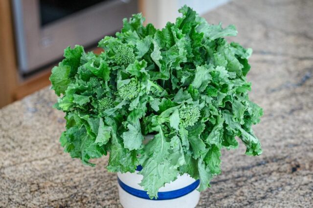 a bouquet of broccoli rabe