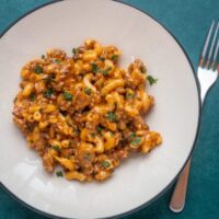 homemade macaroni and cheese on a plate