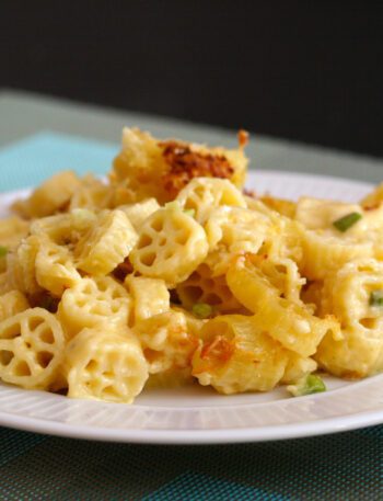 wagon wheel pasta and cheddar cheese bake, a serving on a plate
