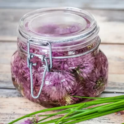 Glass jar filled with blooming chives in water.