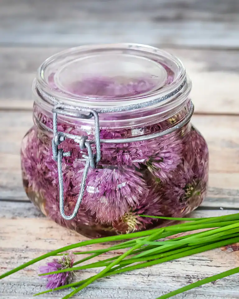 Glass jar filled with blooming chives in water.