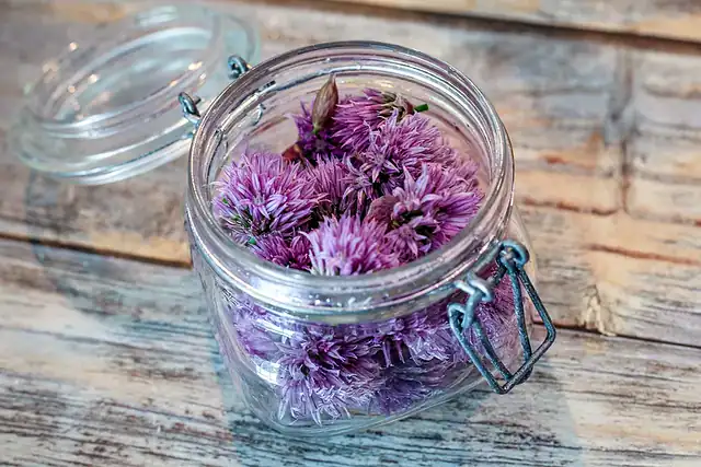 Chive blossoms in the canning jar.