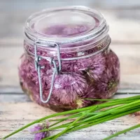 Vase filled with preserved purple flowers in water.