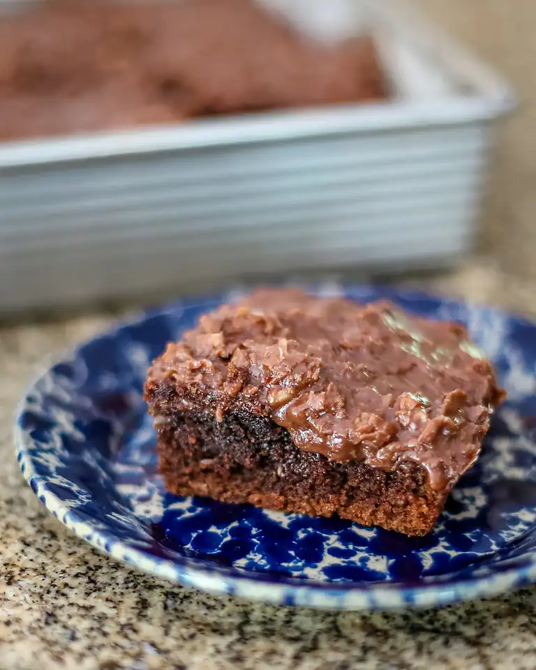 Rich chocolate brownie on a blue patterned plate.