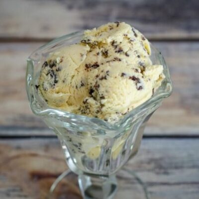 chocolate chip ice cream in a dessert dish