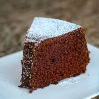 Rich chocolate cake slice dusted with powdered sugar.