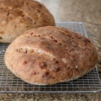 cranberry walnut yeast bread