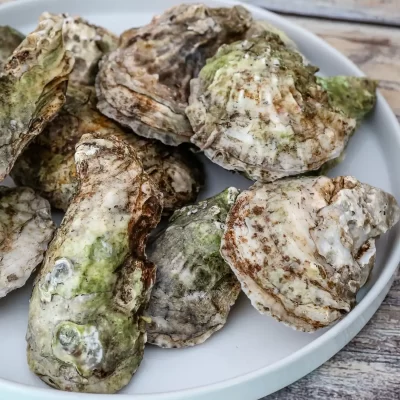 Raw oysters on a white plate with a rustic wooden background.
