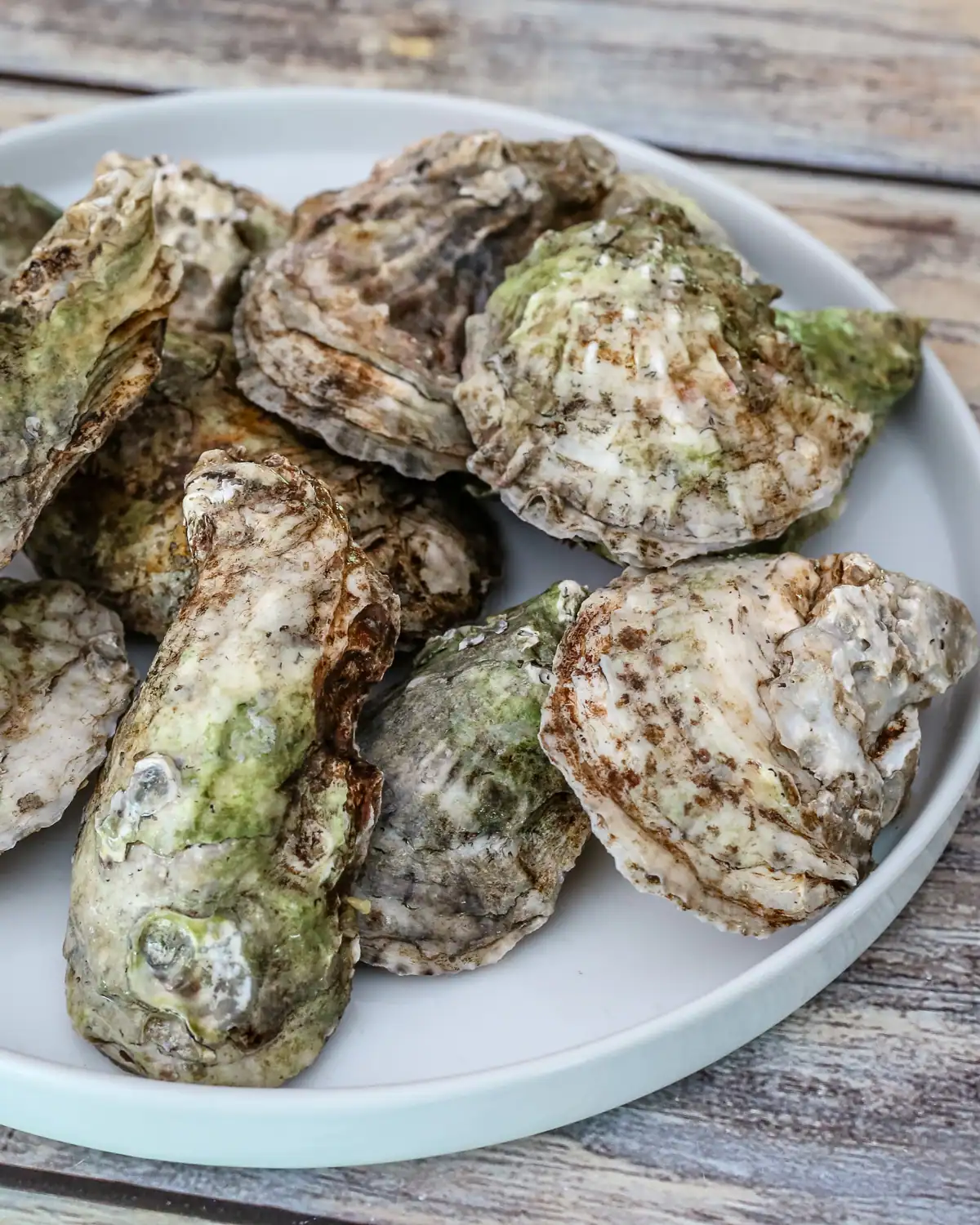 Raw oysters on a white plate with a rustic wooden background.