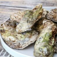 Fresh oysters ready to be shucked for oyster stew.