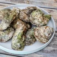 Fresh oysters on a white plate on a rustic wooden table.