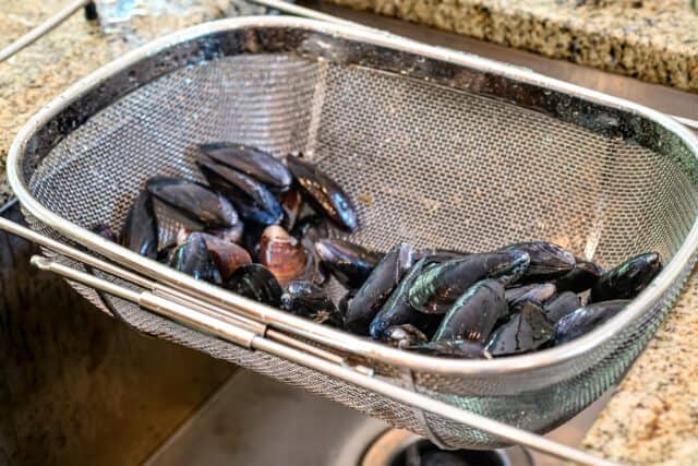 Cleaning and rinsing mussels.