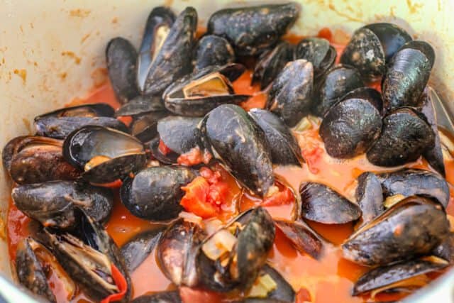 Making Creole style mussels and pasta with the mussels and sauce in a Dutch oven.