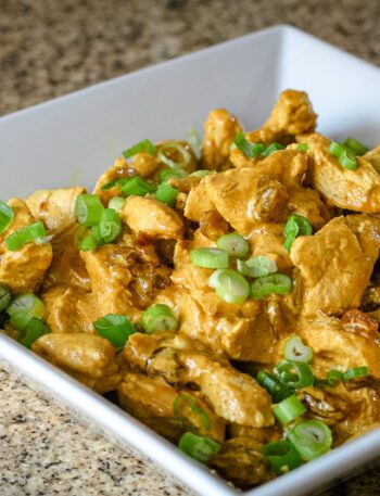 leftover turkey curry with raisins and spices in a serving bowl
