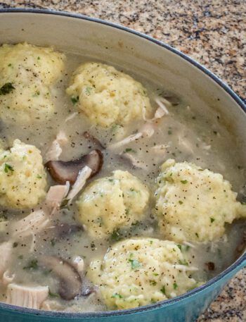 dumplings in chicken stew