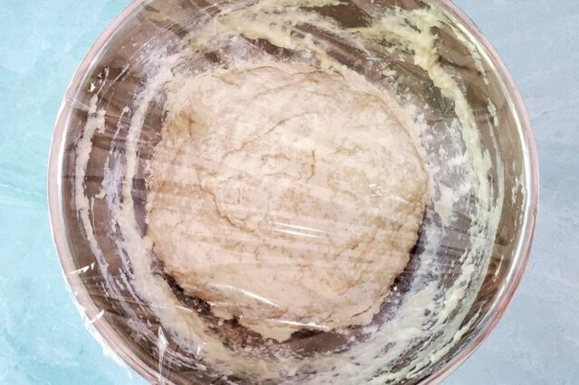 ciabatta dough in a bowl