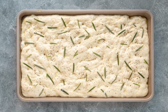 Rosemary scattered over the no-knead focaccia dough.