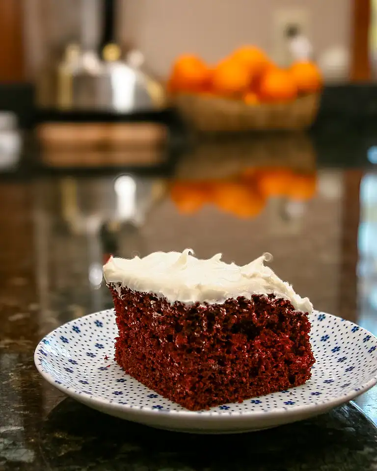 Fudgy chocolate cake slice with creamy frosting on a plate.