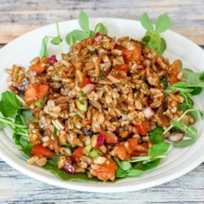 farro salad with tomatoes on a plate with pea shoots