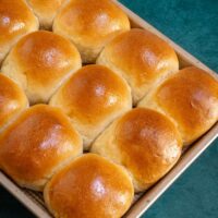 Dinner rolls freshly baked, in the pan.
