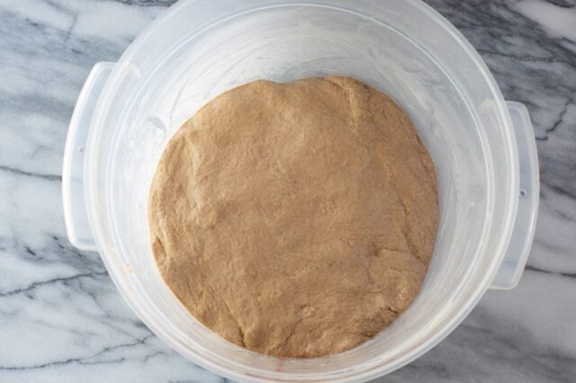pumpernickel bread dough in a cambro container